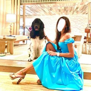 Staud Elio blue dress